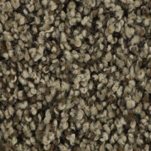 Soft Aspect by Mohawk - November Foliage