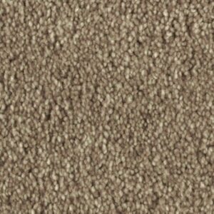 Distinct Beauty II by Mohawk - Dakota