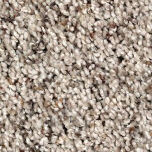 Soft Sensations II by Mohawk - Warm Stone