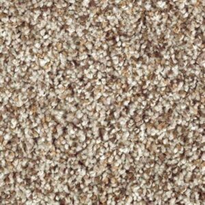 Nature's Luxury I by Mohawk - Silver Lining