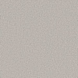 SOFT RADIANCE by Shaw Floors - Thin Ice