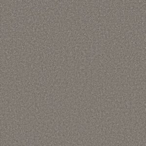 HIGH RANKING S by Shaw Floors - Skyline