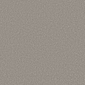 AFFIRMATION II by Shaw Floors - Lunar Surface