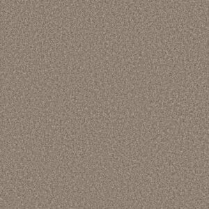 AFFIRMATION II NET by Shaw Floors - Midtown