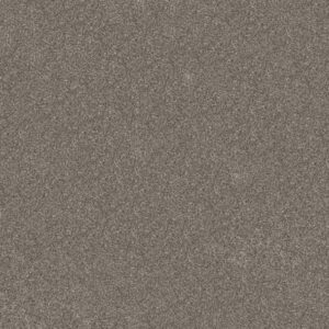 ELEVATED III by Shaw Floors - Coffee