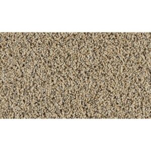 Exhilarating by Mohawk - Desert Dust