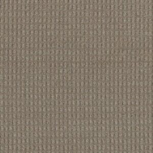 PERFECT BALANCE by Dreamweaver - Warm Putty 2732
