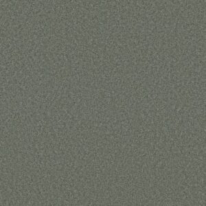 DEL RIO II by Shaw Floors - Evergreen