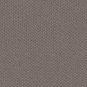 MIDLAND CHARM by Shaw Floors - Rustic Vibe