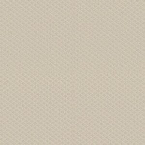 MIDLAND CHARM by Shaw Floors - Alabaster