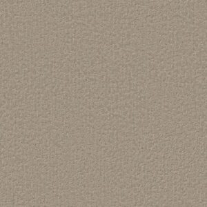 CLEVER BLEND by Shaw Floors - Cameo