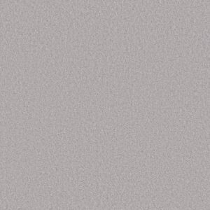 LAS CRUCES by Shaw Floors - Gateway