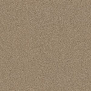 DEL RIO I by Shaw Floors - Dune
