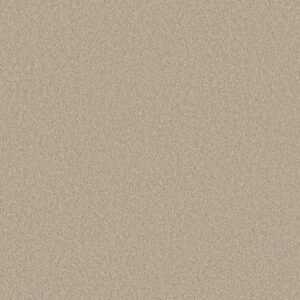 DEL RIO I by Shaw Floors - Cream