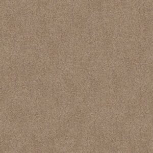 CANYON LAKE by Shaw Floors - Dogwood