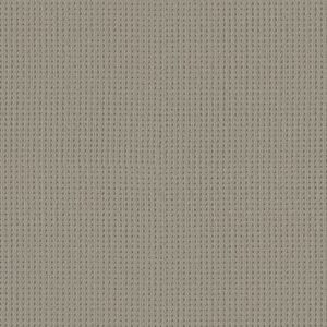 SAN ANTONIO by Shaw Floors - Huskie
