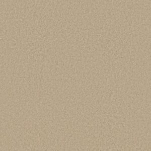 ENDLESS EVENING III by Shaw Floors - French Linen