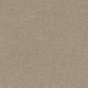 GRAND OUTLOOK by Shaw Floors - Natural