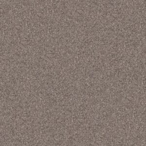 INLET SHORE 1 15' by Shaw Floors - Smooth Satin