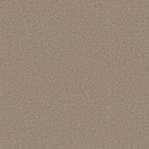 ELEVATED I by Shaw Floors - Summer Straw