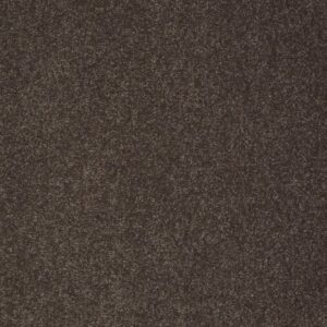 SANDY HOLLOW CLASSIC I 15 by Shaw Floors - Arrowhead