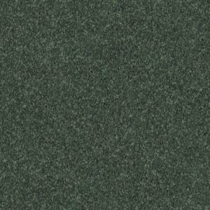 ALL STAR WEEKEND I 15' by Shaw Floors - Going Green