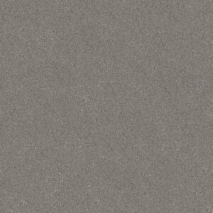 WITHOUT LIMITS II by Shaw Floors - Stainless