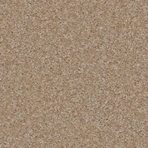 RESOLUTION by Shaw Floors - Oxbow
