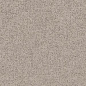 HOME WITHIN by Shaw Floors - Soft Sense