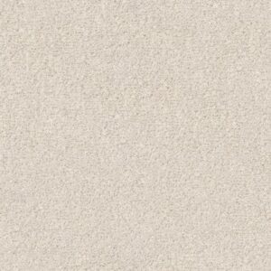 OMBRE WHISPER by Shaw Floors - Awaken