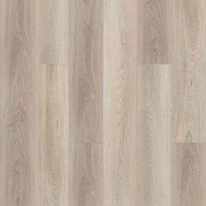Paladin Plus by Shaw Floors - Lighthouse