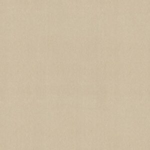AWAKEN SPIRIT II 12' by Shaw Floors - Cottage