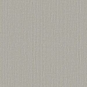 SHADY STROLL by Shaw Floors - Silver Cloud