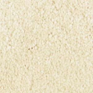 Elegant Appeal I by Mohawk - Flaky Coconut