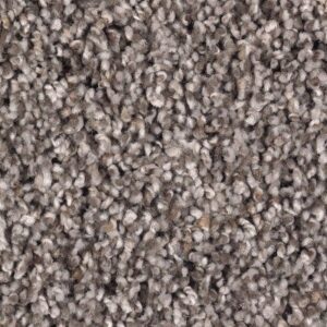 Soft Sensations I by Mohawk - Chocolate Swirl