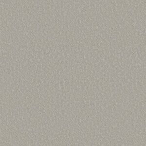 CLEVER CHOICE by Shaw Floors - Sterling