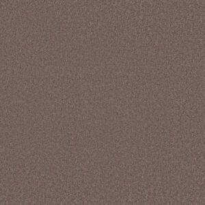 ENDLESS EVENING III by Shaw Floors - Grape Fizz
