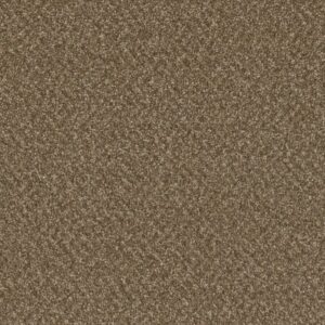 BROADCAST PLUS by Dreamweaver - Mocha Beige 2351