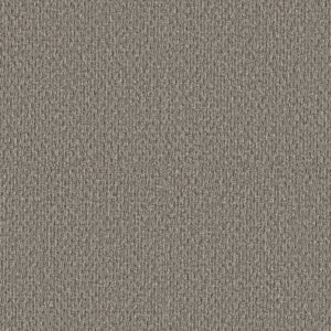 STONEBROOK by Shaw Floors - Creek Bed