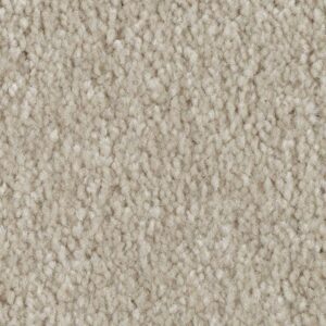 Elegant Appeal I by Mohawk - Coastal