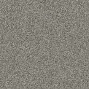 PRESCOTT VALLEY by Shaw Floors - Chelsea Fog
