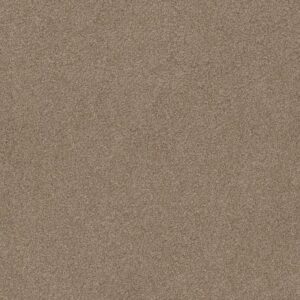 OPPORTUNITY KNOCKS by Shaw Floors - Sombrero