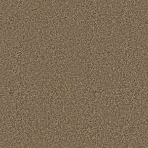 BREAK AWAY (B) by Shaw Floors - Desert