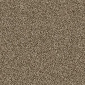 BREAK AWAY (B) by Shaw Floors - Safari