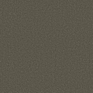 WHY NOT ME by Shaw Floors - Kensington