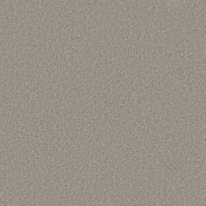 SWEET INSPIRATION I by Shaw Floors - Tempting Taupe
