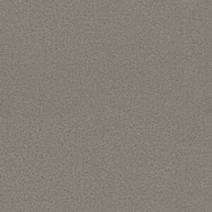 AERIAL VIEW by Shaw Floors - Dark Slate