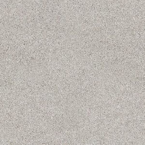 ALWAYS READY I by Shaw Floors - Studio Taupe