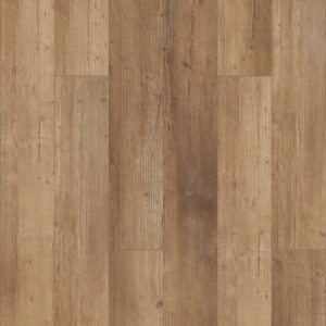 Paragon 5" Plus by Shaw Floors - Touch Pine