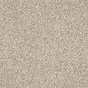 DELICATE DISTINCTION CLASSIC I by Shaw Floors - Granite
